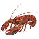 lobster Oil Painting icon