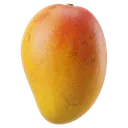 mango Photorealistic icon