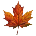 maple leaf Oil Painting icon