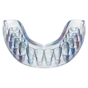 mouth guard Photorealistic icon