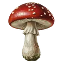 mushroom Oil Painting icon