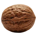 nut Photorealistic icon