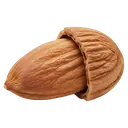 nut Product Shot icon