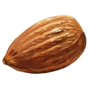 nut Oil Painting icon