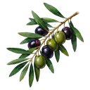 olive branch Oil Painting icon