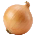 onion Photorealistic icon