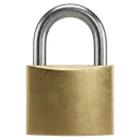 padlock Photorealistic icon