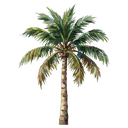 palm tree Oil Painting icon