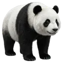 panda Photorealistic icon