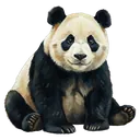 panda Oil Painting icon