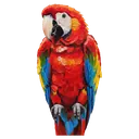 parrot Oil Painting icon