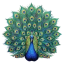peacock Oil Painting icon