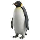 penguin Photorealistic icon