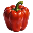 pepper Oil Painting icon