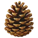 pine cone Oil Painting icon
