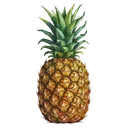 pineapple Oil Painting icon