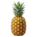 pineapple Photorealistic icon