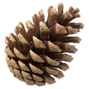 pinecone Photorealistic icon