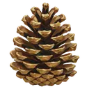 pinecone Oil Painting icon