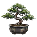 potted bonsai tree Oil Painting icon