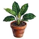 potted plant Oil Painting icon
