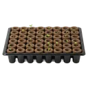seed tray Product Shot icon