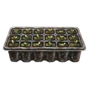 seed tray Oil Painting icon