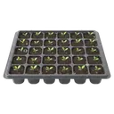 seed tray Photorealistic icon