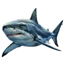 shark Oil Painting icon