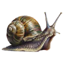snail Oil Painting icon
