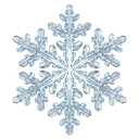 snowflake Photorealistic icon