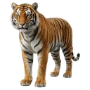 tiger Photorealistic icon