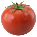 tomato Photorealistic icon