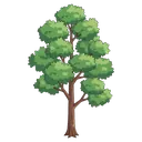 tree Isometric icon