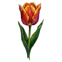 tulip Oil Painting icon