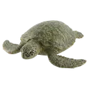 turtle Photorealistic icon