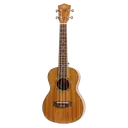 ukulele Product Shot icon