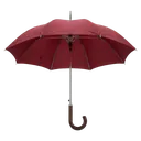 umbrella Product Shot icon