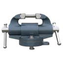 vise Photorealistic icon