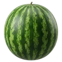 watermelon Photorealistic icon