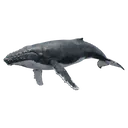 whale Photorealistic icon