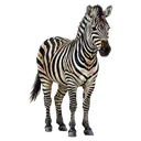 zebra Oil Painting icon