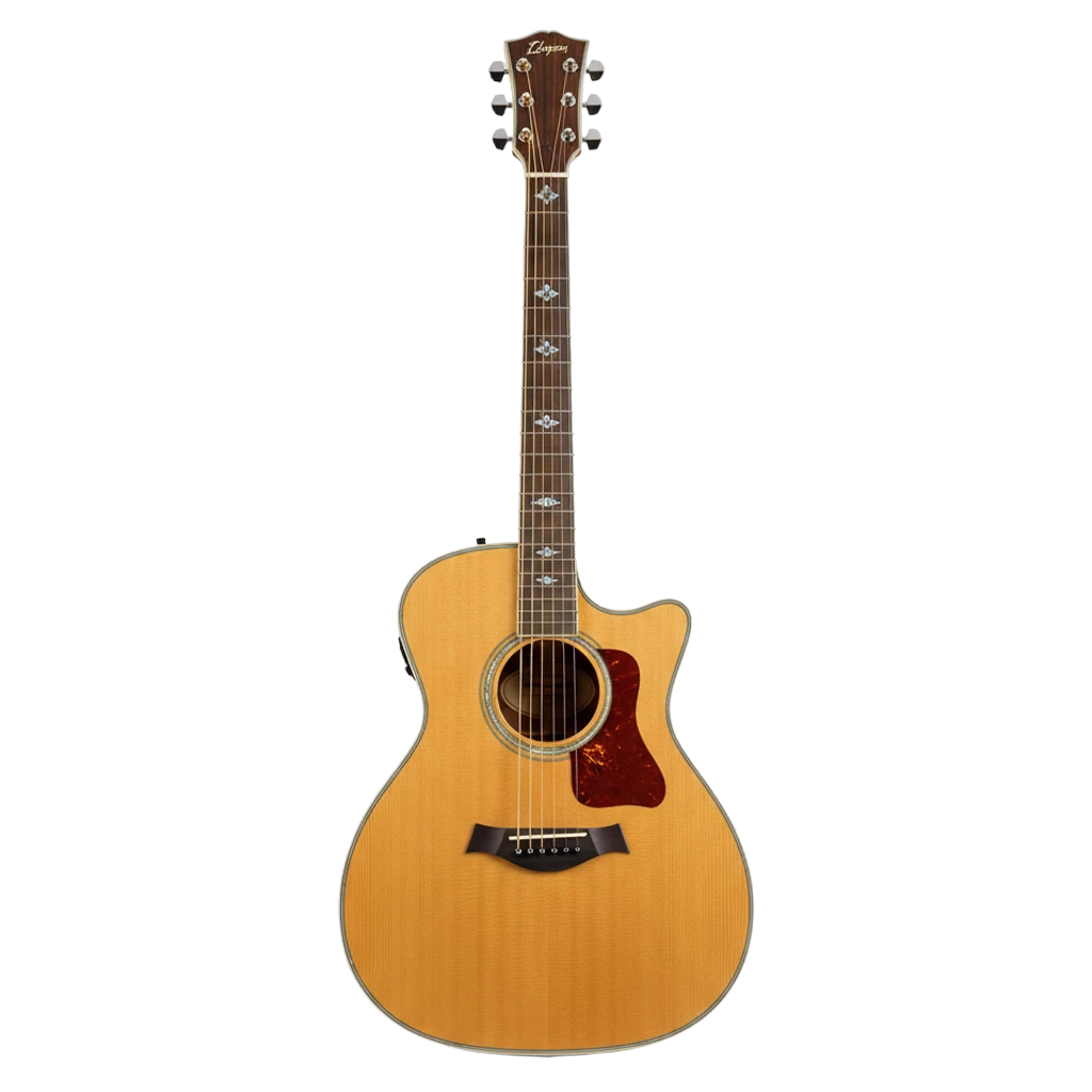 acoustic guitar Product Shot icon