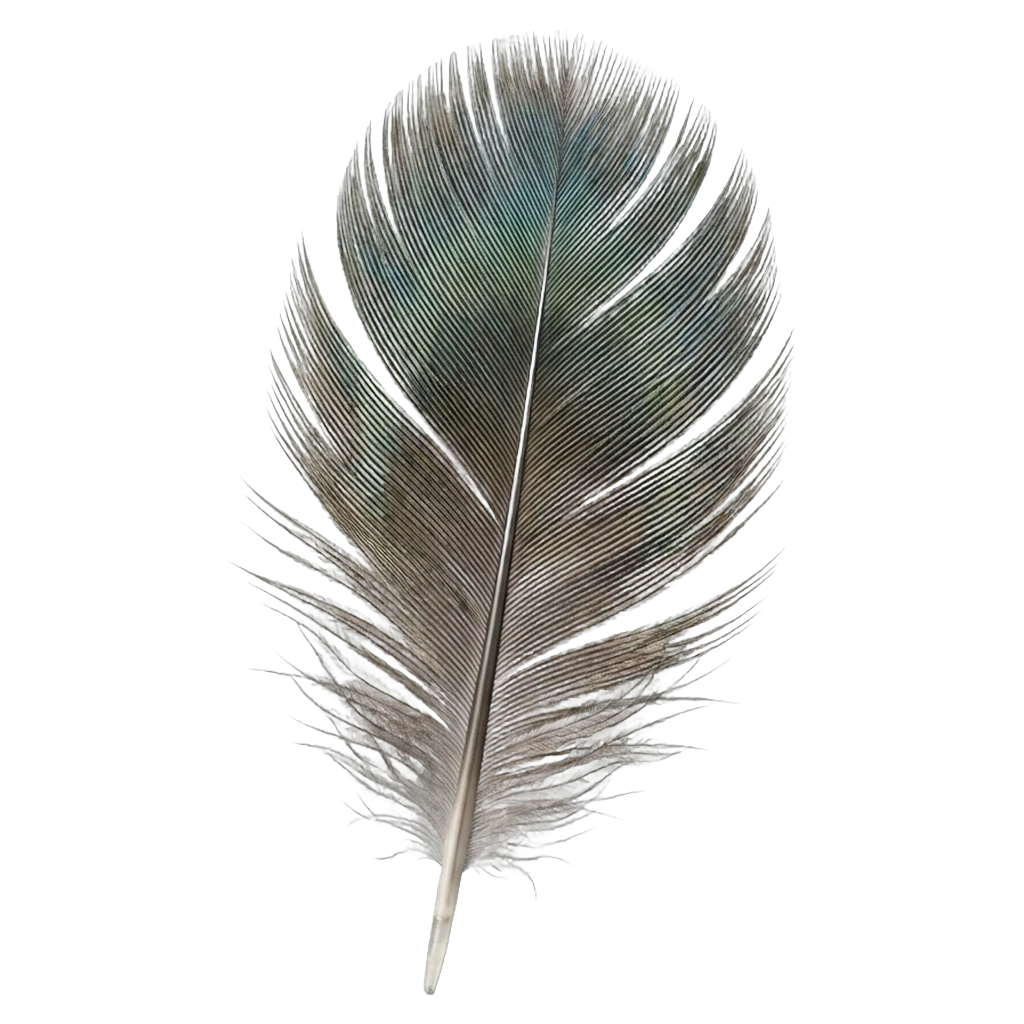 feather Photorealistic icon