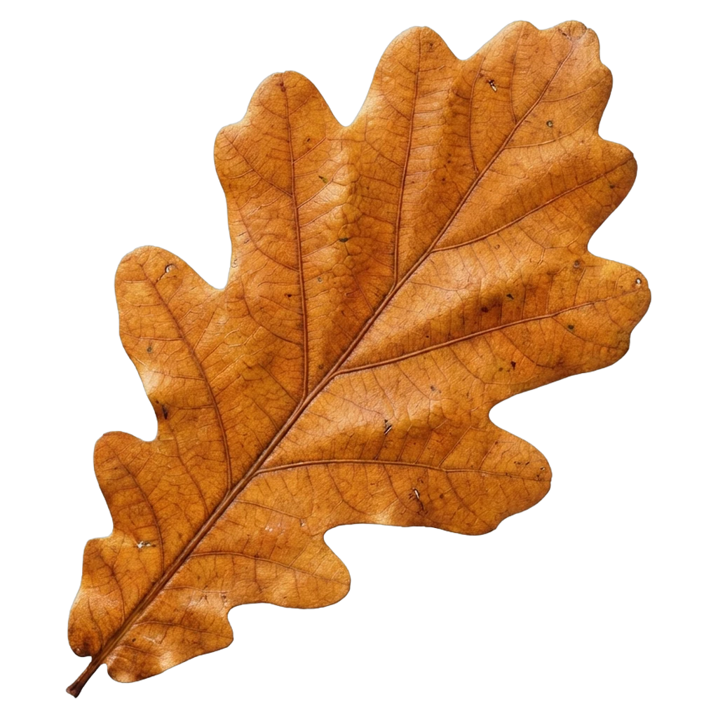 leaf Photorealistic icon