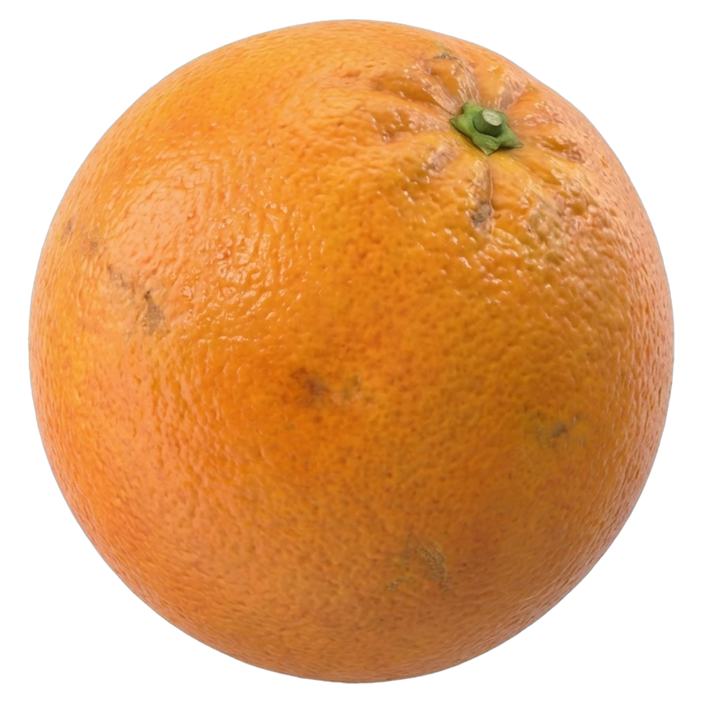 orange Photorealistic icon