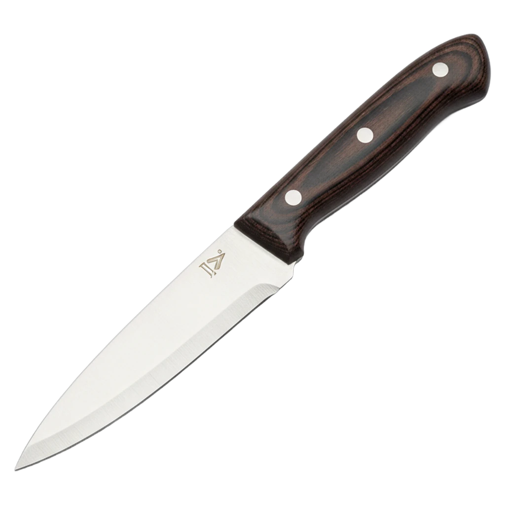 paring knife Photorealistic icon