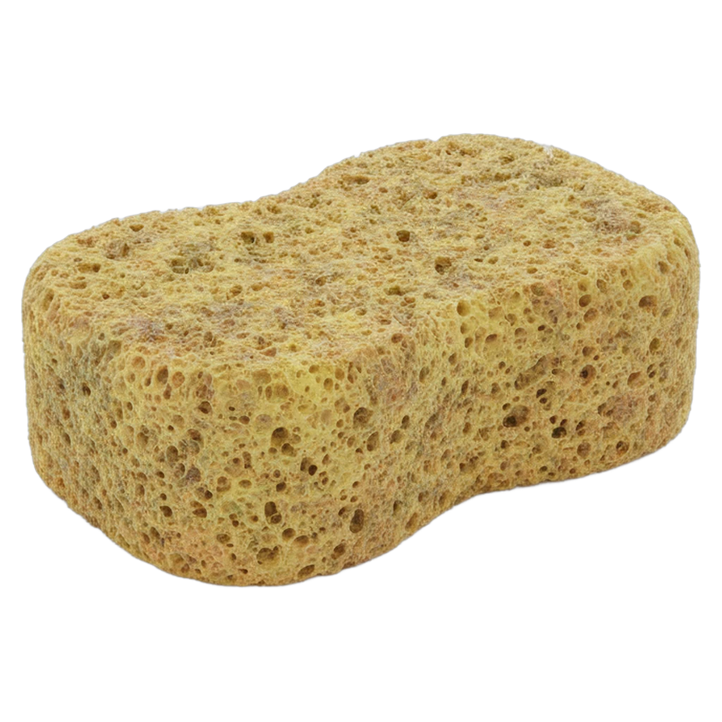 sponge Photorealistic icon