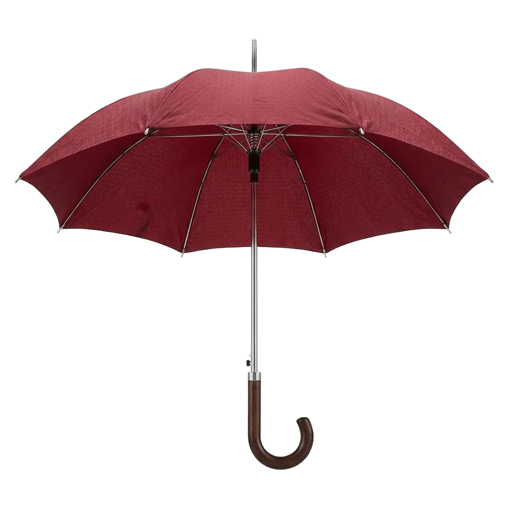 umbrella Product Shot icon