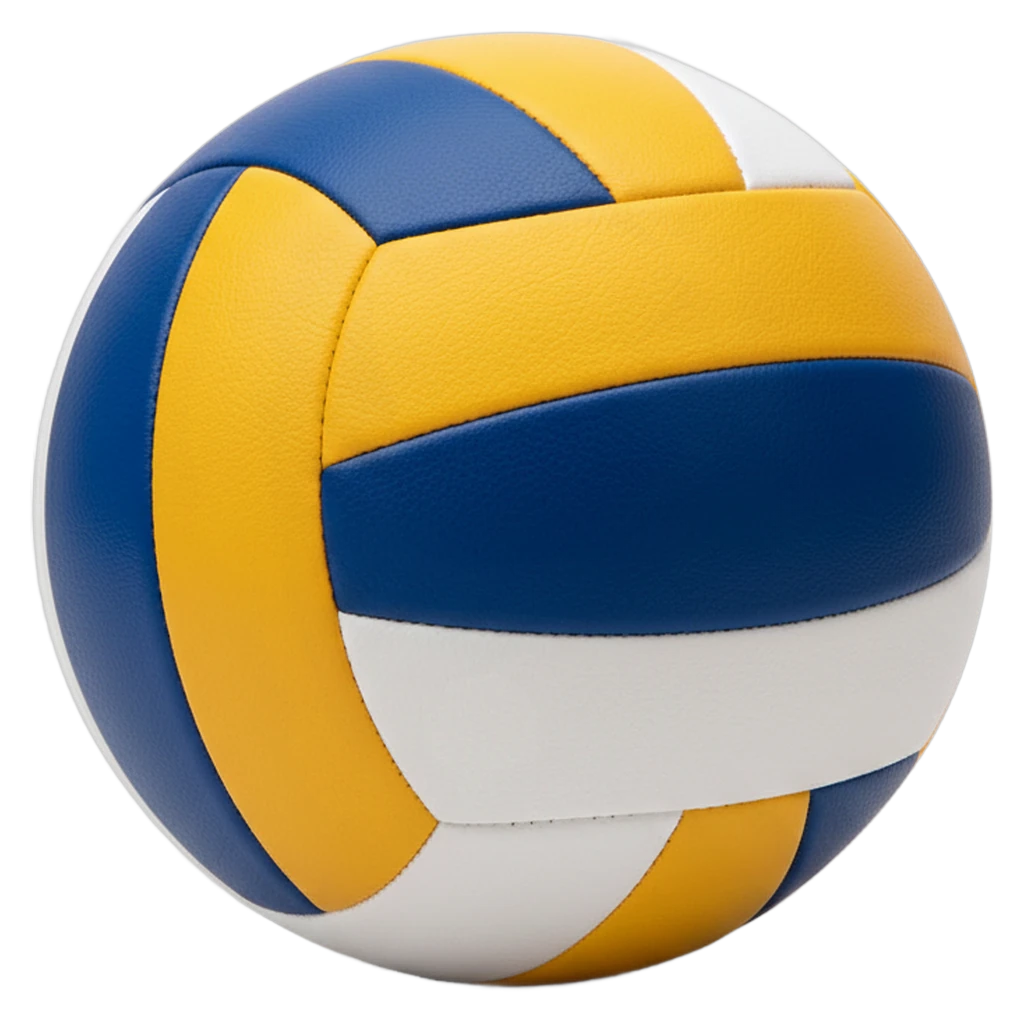 volleyball Product Shot icon